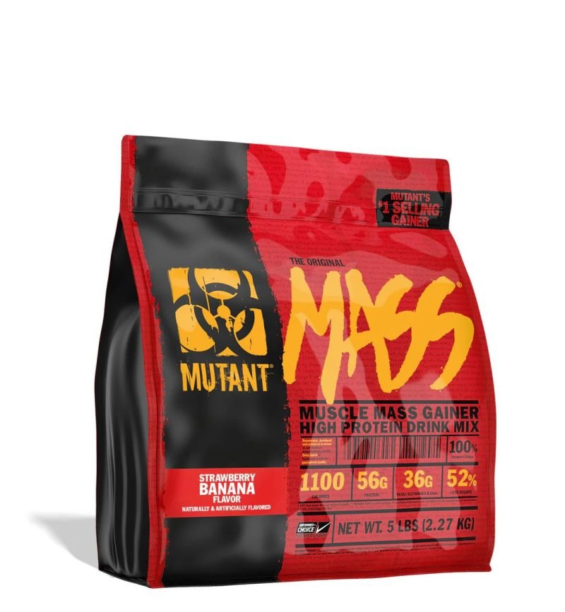 High Protein Mass Gainer